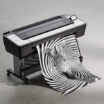 Авторский постер Зебра — изображение 3