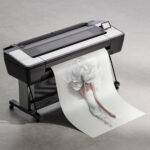 Авторский постер Девушка Пион — изображение 4