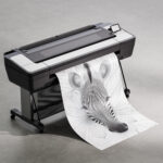 Авторский постер Зебра — изображение 4