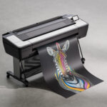 Авторский постер Зебра — изображение 4