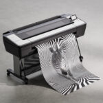 Авторский постер Зебра — изображение 4