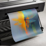 Авторский постер Стрекоза — изображение 3